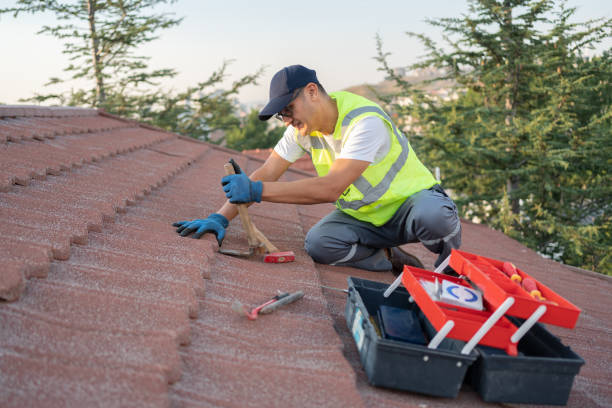 Professional Roofing Contractor in Mount Pleasant, UT